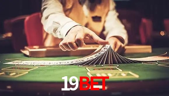 Crash Games Statistics 19bet